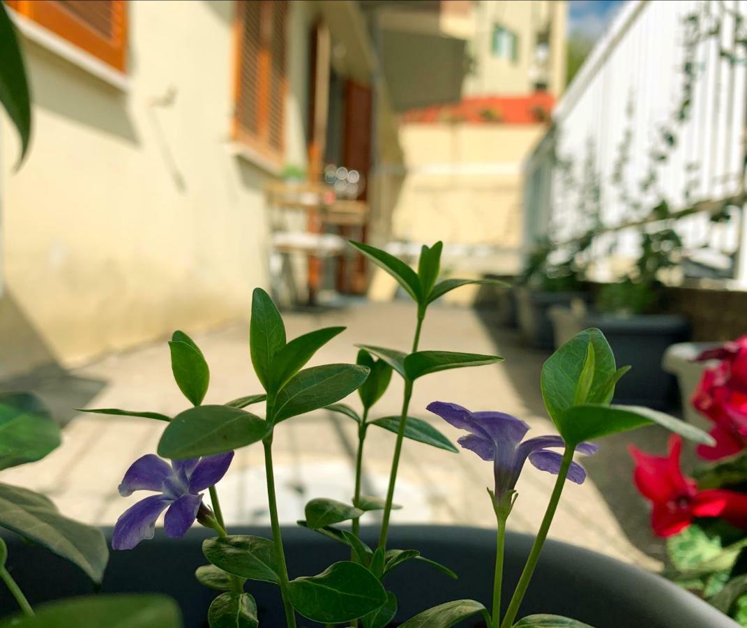 Open The Classic Wooden Shutters At A Cozy City Nest ฟลอเรนซ์ ภายนอก รูปภาพ